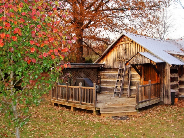 Homesteader's Cabin